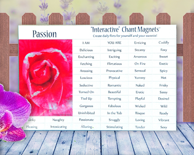 Passion Affirmation Chant Magnets by Creative Mind Publications. Sexy, flirty,  word kit for writing love notes and erotic chants. Passion Affirmation comes with a dew covered rose magnet, and I AM and YOU ARE and 54 naughty, suggestive words.